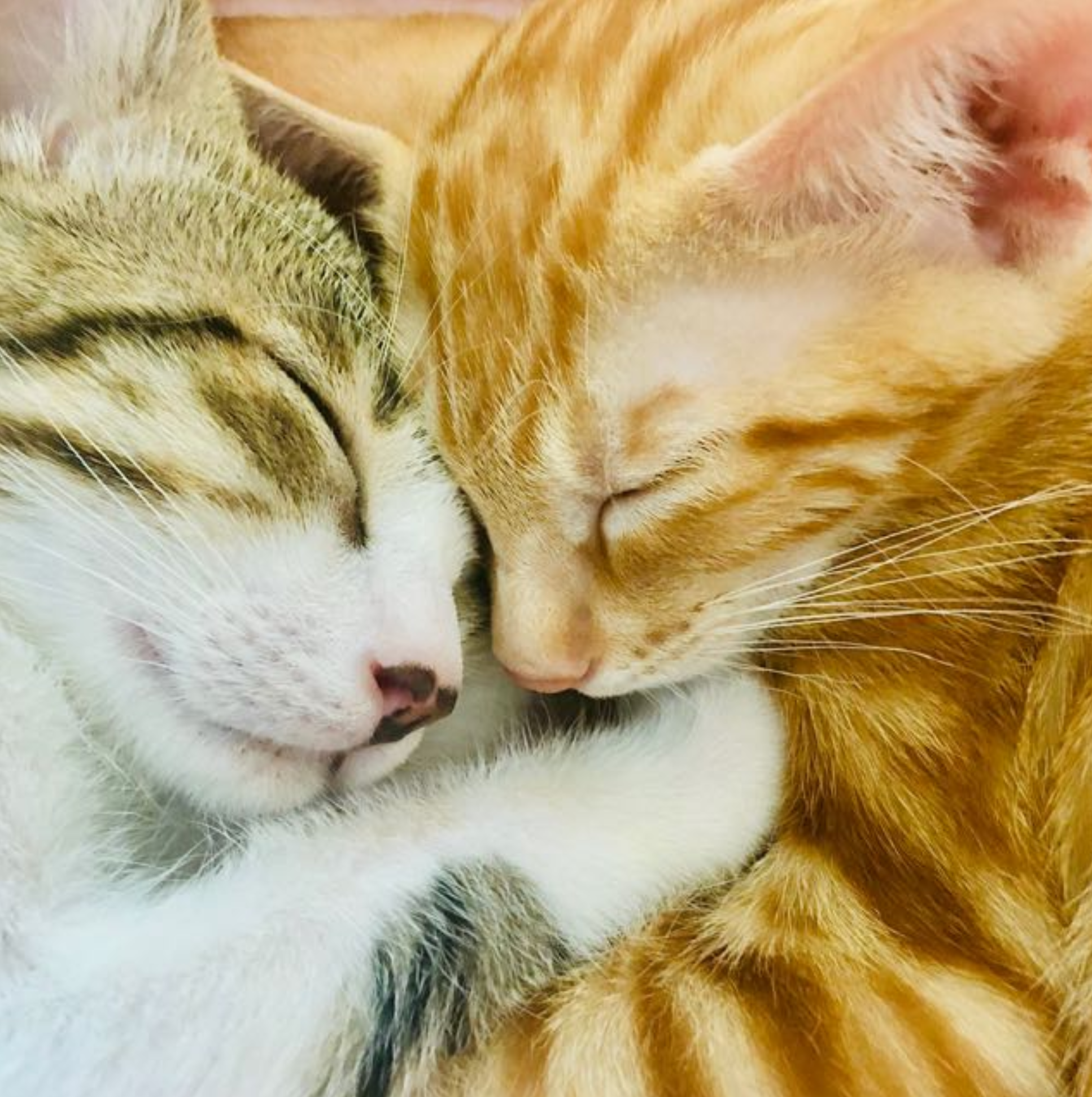 Screenshot_2025_12_13-16 Screenshot_2025_12_13-16