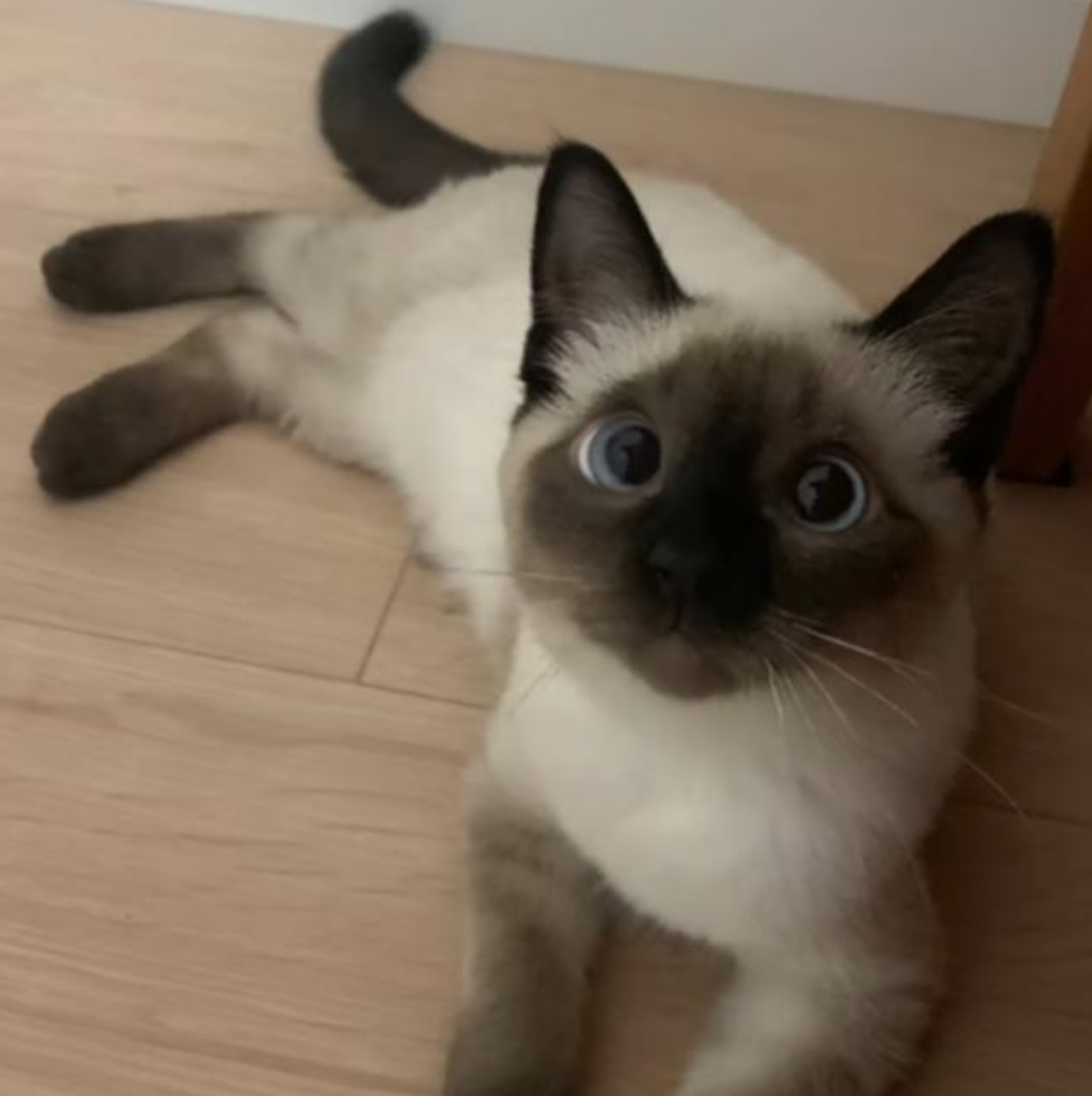 Screenshot_2025_12_13-18 Screenshot_2025_12_13-18