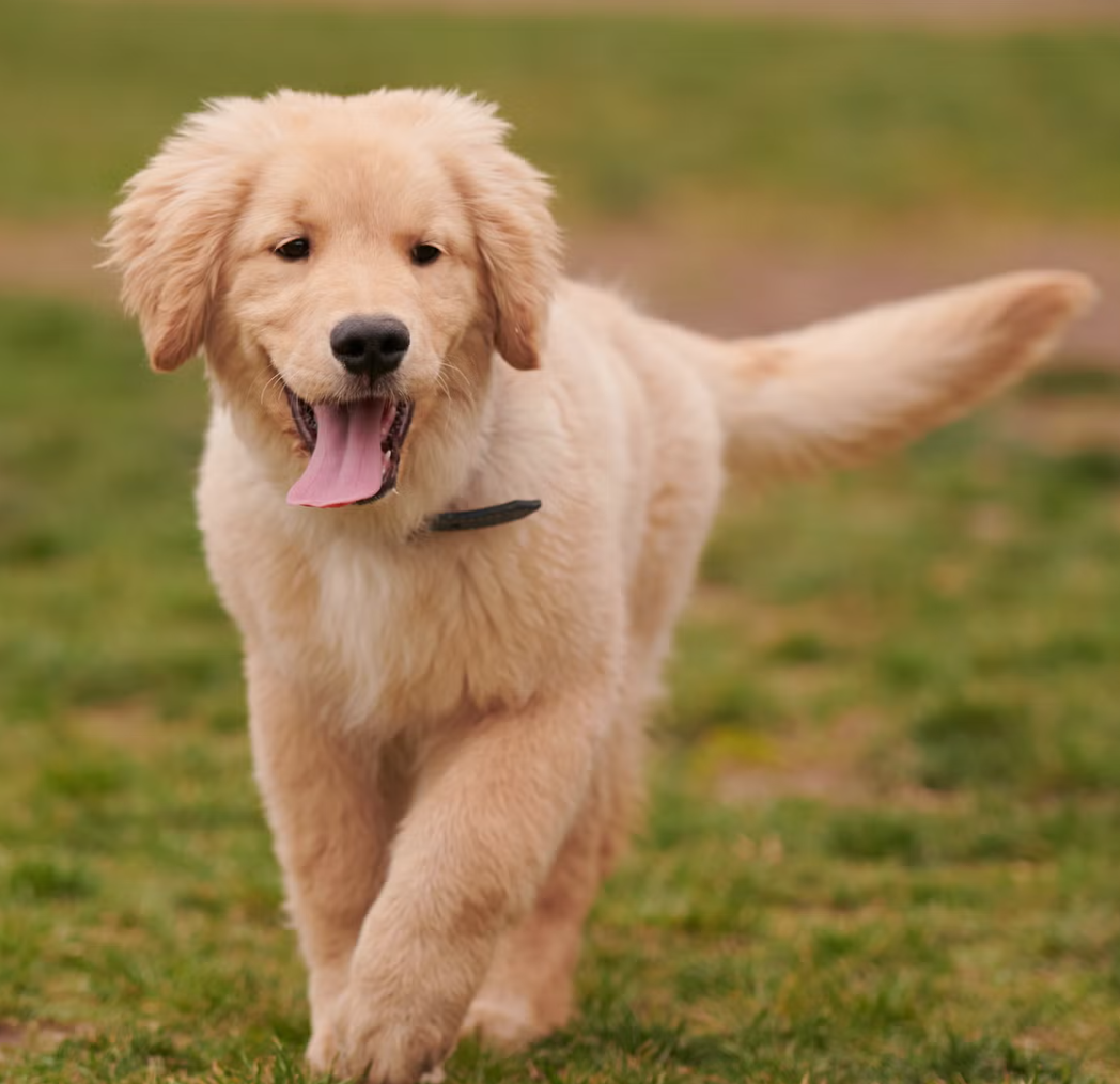 Screenshot_2025_12_13-19 Screenshot_2025_12_13-19