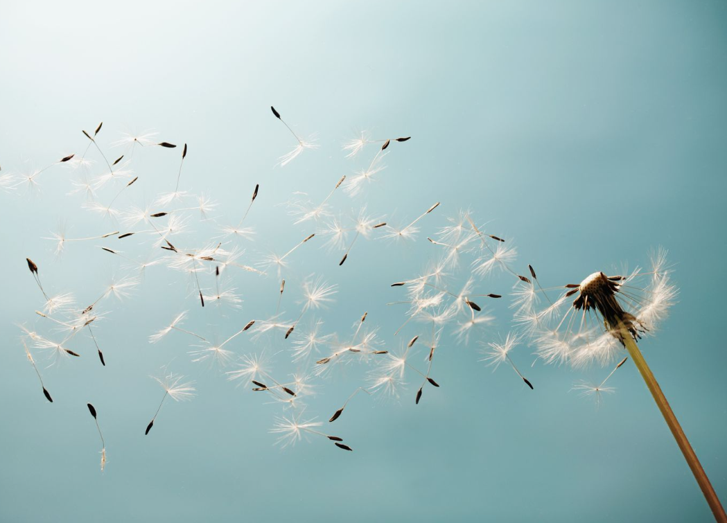 Screenshot_2025_12_13-26 Screenshot_2025_12_13-26