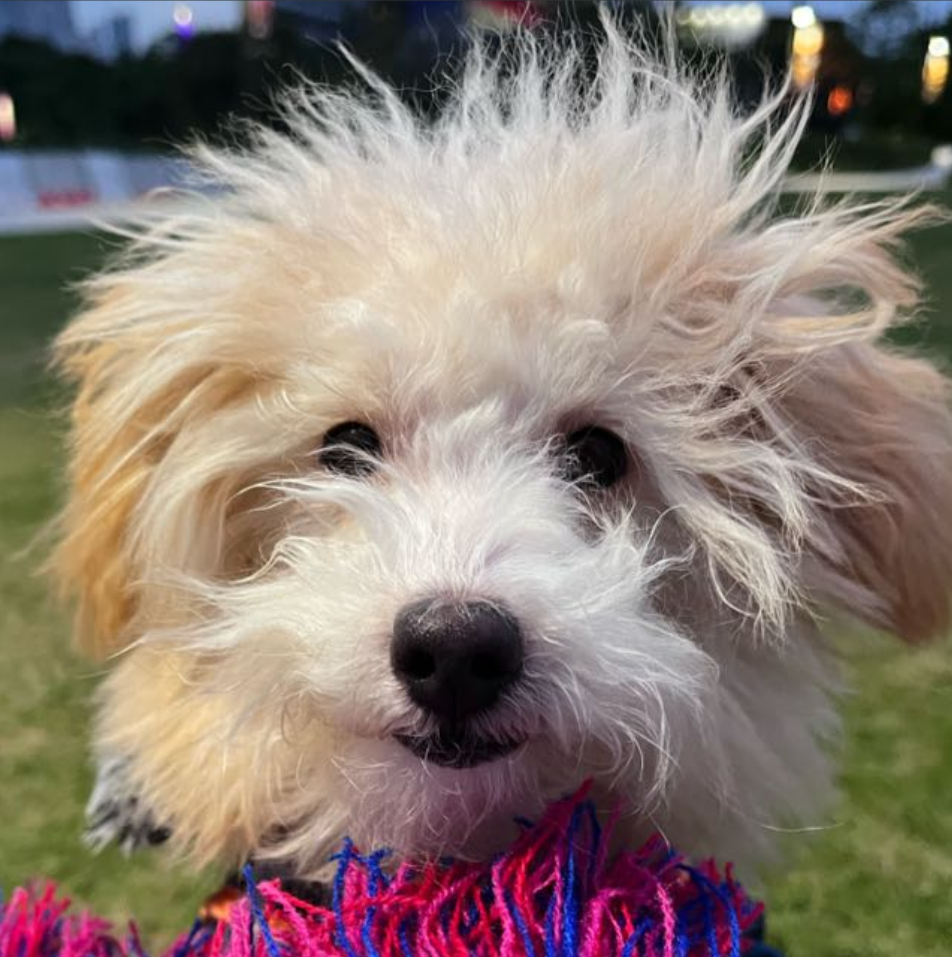 Screenshot_2025_12_13-3 Screenshot_2025_12_13-3