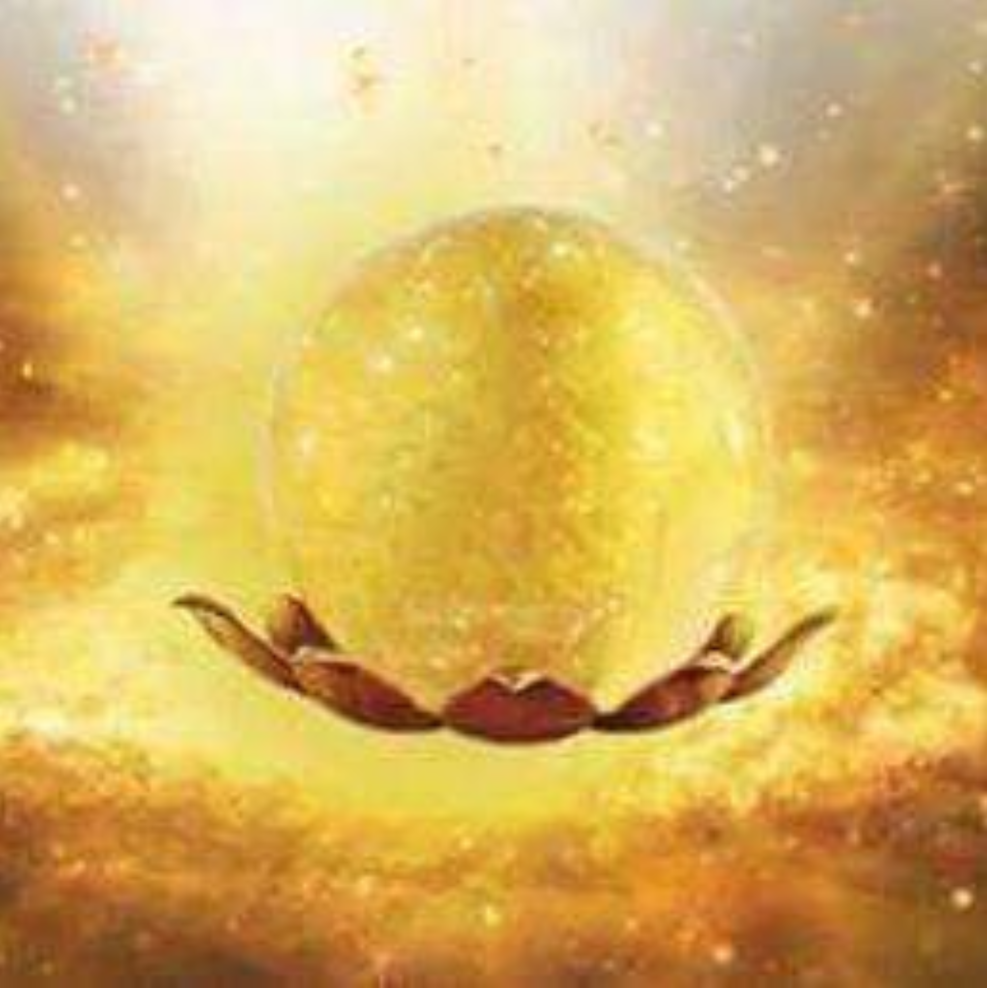 Screenshot_2025_12_13-37 Screenshot_2025_12_13-37